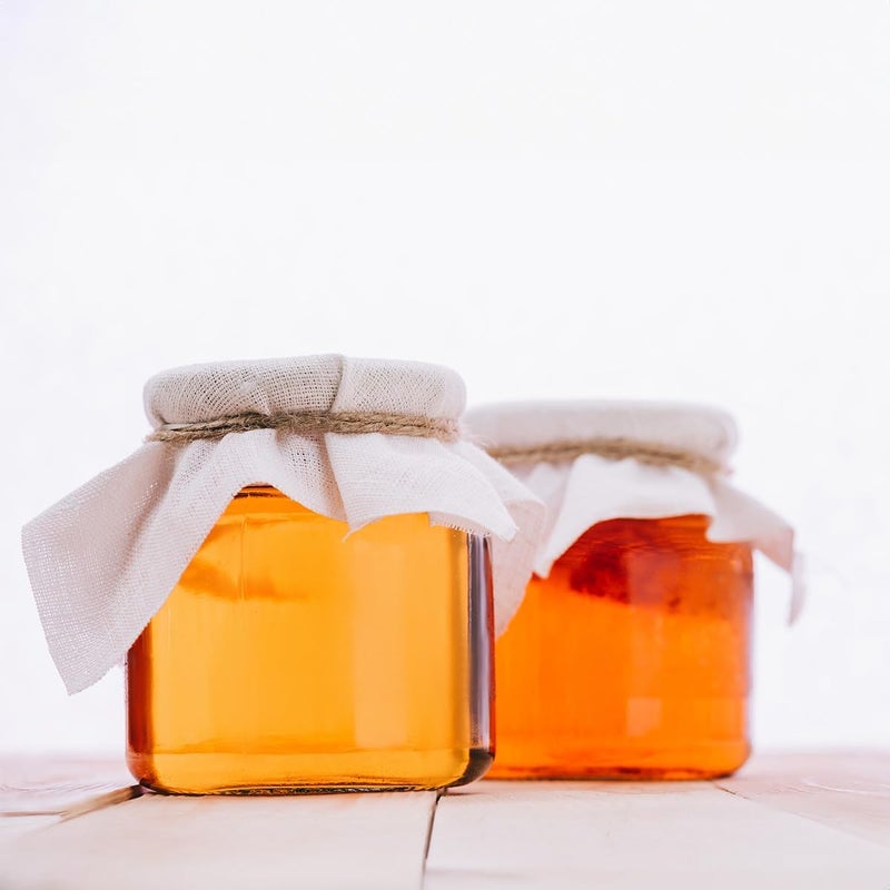 Scoby Kombucha سكوبى كومبوتشا - ثقافة حية للتخمير المنزلي - Image 5